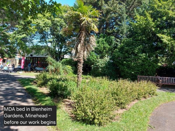 Minehead Dementia Action Gardening Support Group Bed